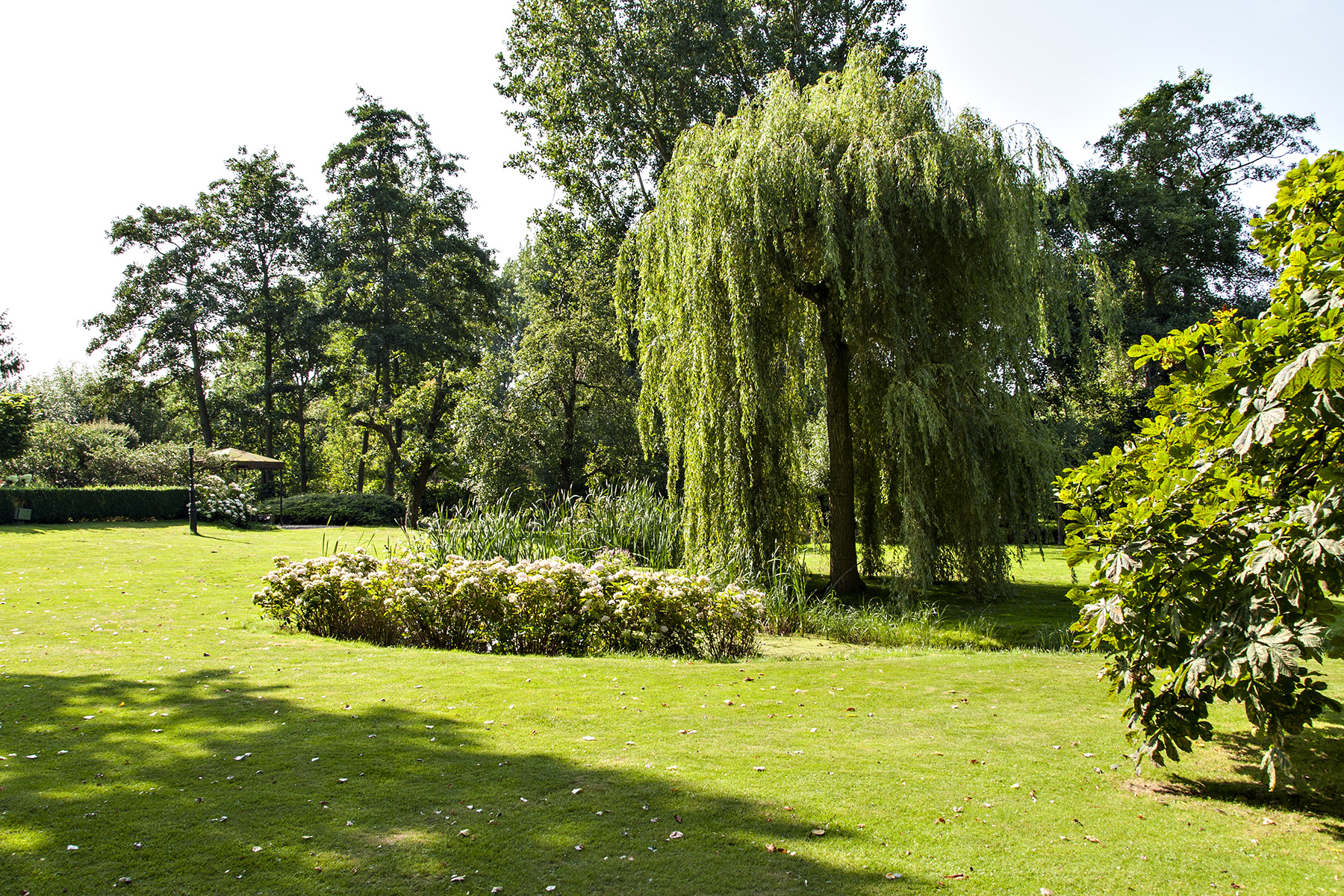 Tuin voorzijde 2