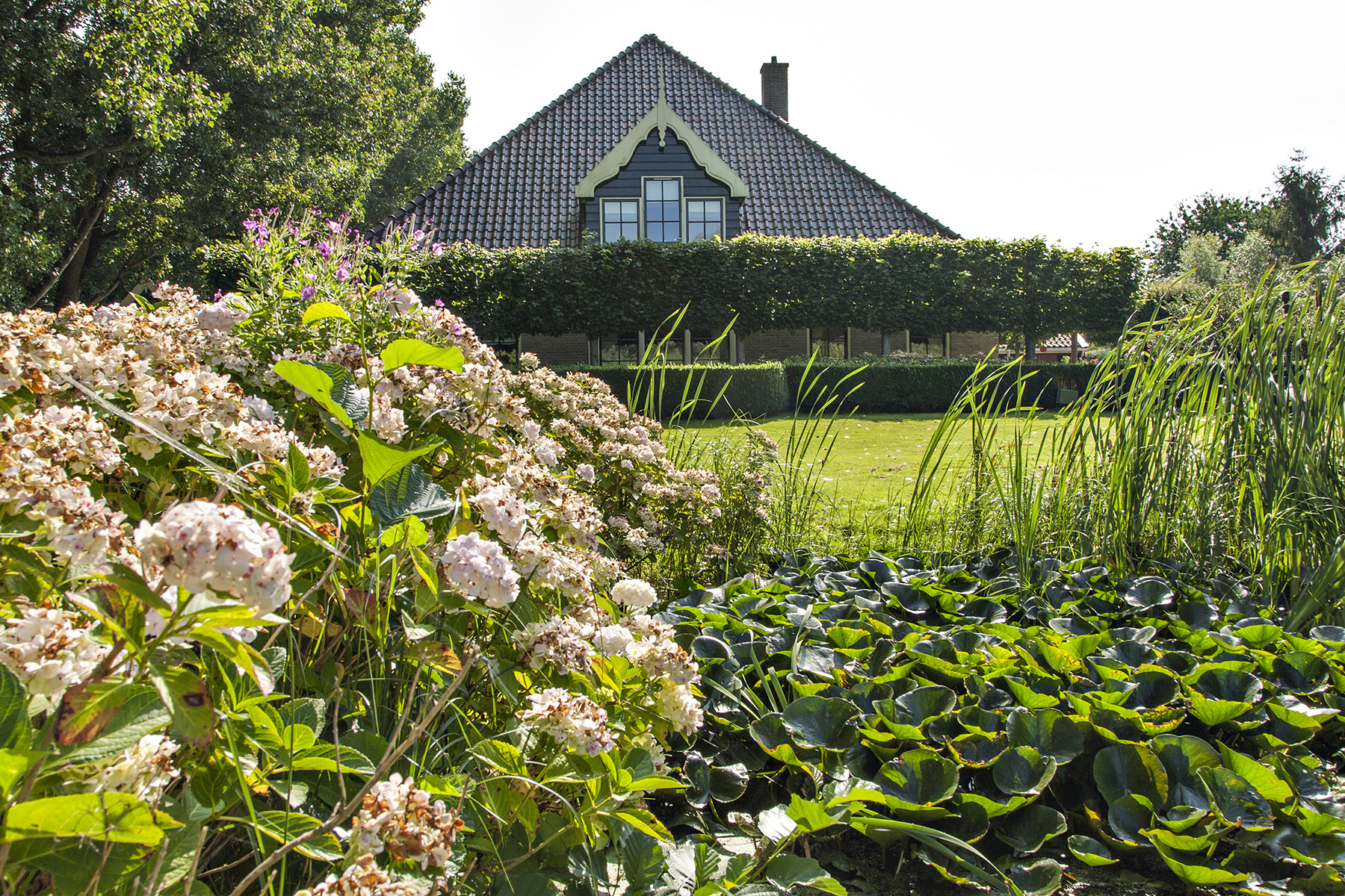 Tuin voorzijde